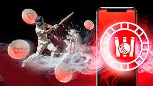 cricket betting